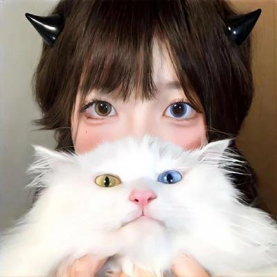 恋爱部屋